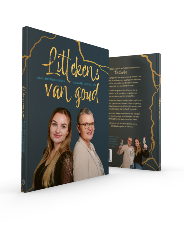 Boek_3d_met_achterzijde 900x1125